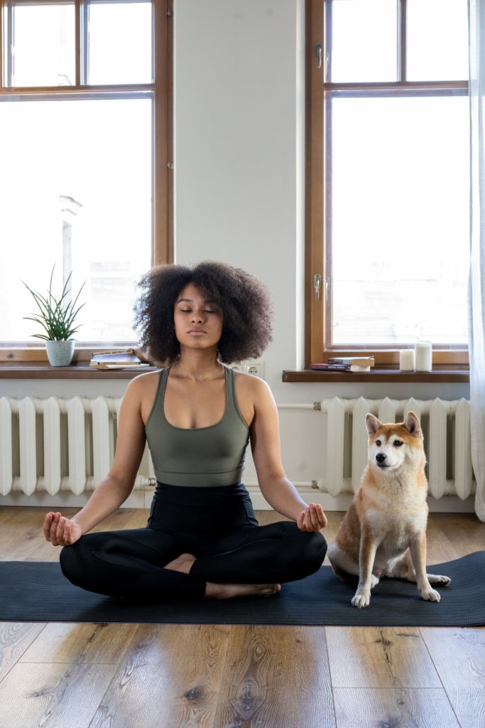 mindful therapy mississippi